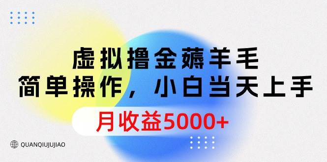 虚拟撸金薅羊毛，简单操作，小白当天上手，月收益5000+-网创财富岛