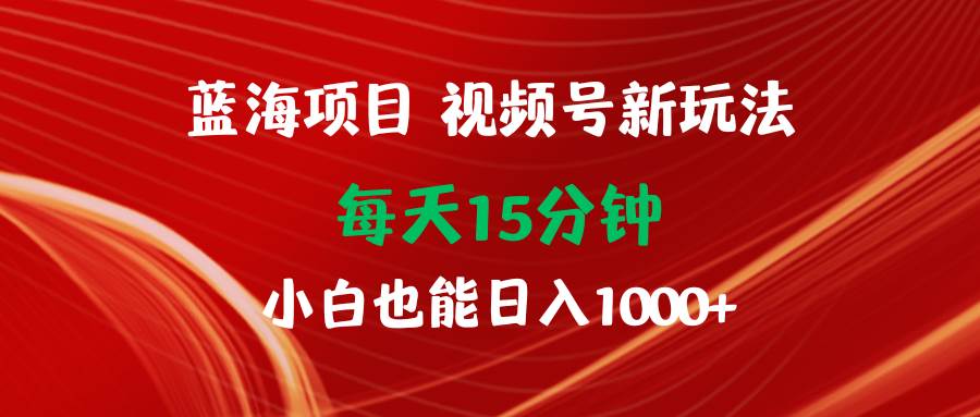 蓝海项目视频号新玩法 每天15分钟 小白也能日入1000+-网创财富岛