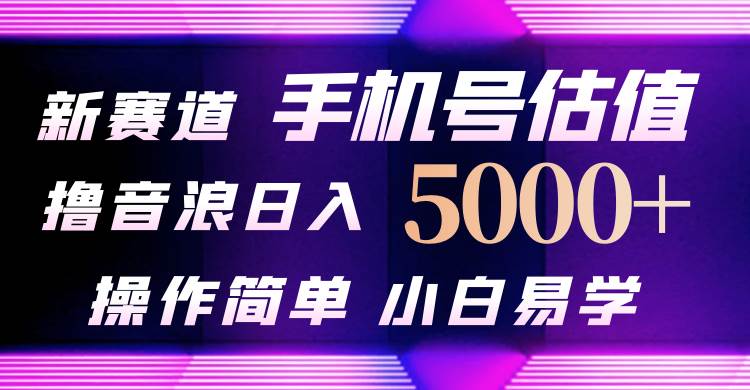 抖音不出境直播【手机号估值】最新撸音浪，日入5000+，简单易学，适合…-网创财富岛