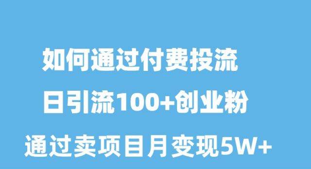 如何通过付费投流日引流100+创业粉月变现5W+-网创财富岛