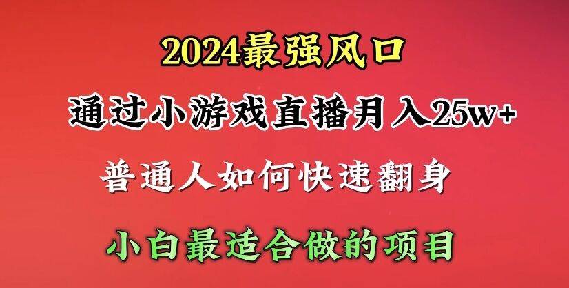 2024年最强风口，通过小游戏直播月入25w+单日收益5000+小白最适合做的项目-网创财富岛
