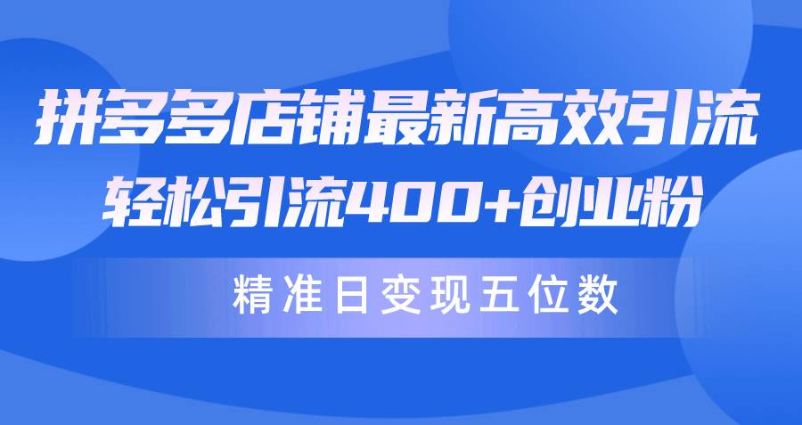 拼多多店铺最新高效引流术，轻松引流400+创业粉，精准日变现五位数！-网创财富岛