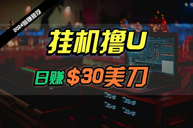 日赚30美刀，2024最新海外挂机撸U内部项目，全程无人值守，可批量放大-网创财富岛