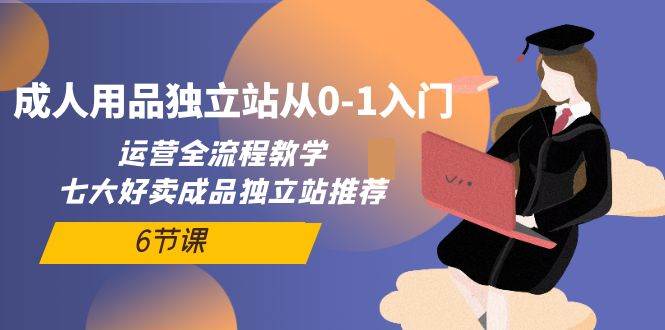 成人用品独立站从0-1入门，运营全流程教学，七大好卖成品独立站推荐-6节课-网创财富岛