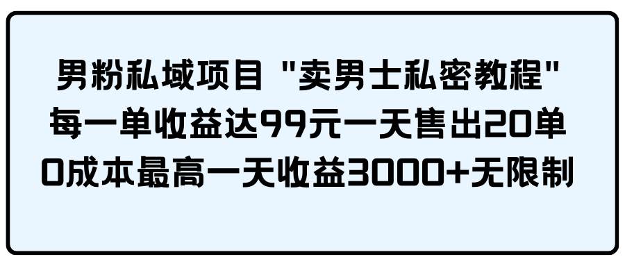 男粉私域项目 卖男士私密教程 每一单收益达99元一天售出20单-网创财富岛