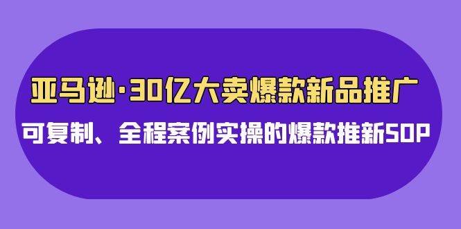 亚马逊30亿·大卖爆款新品推广，可复制、全程案例实操的爆款推新SOP-网创财富岛