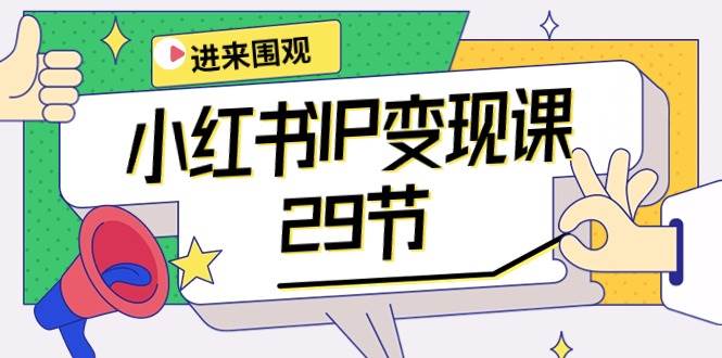 小红书IP变现课：开店/定位/IP变现/直播带货/爆款打造/涨价秘诀/等等/29节-网创财富岛