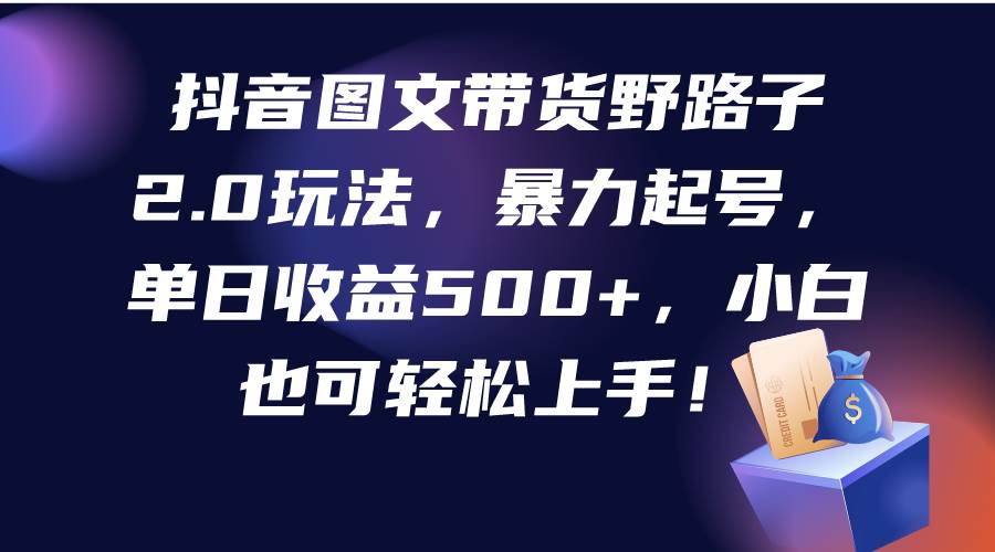 抖音图文带货野路子2.0玩法，暴力起号，单日收益500+，小白也可轻松上手！-网创财富岛