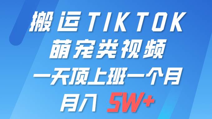 一键搬运TIKTOK萌宠类视频 一部手机即可操作 所有平台均可发布 轻松月入5W+-网创财富岛