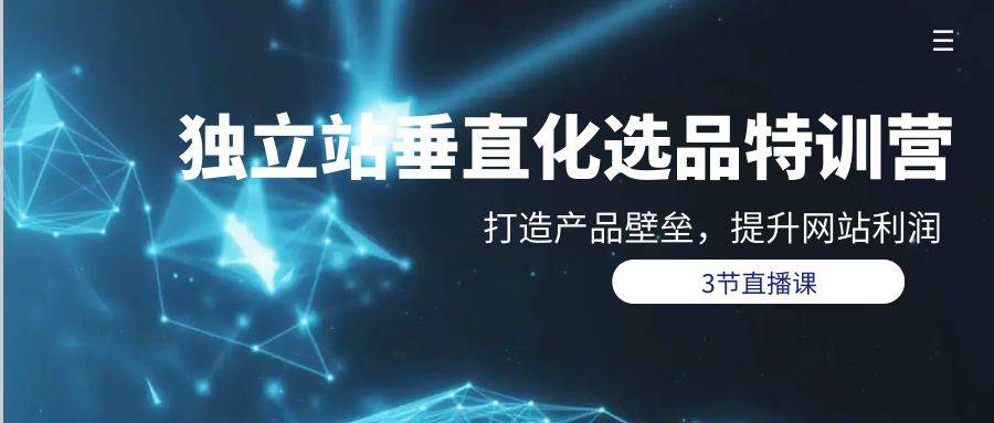 独立站-垂直化选品训练营，打造产品壁垒，提升网站利润（3节直播课）-网创财富岛
