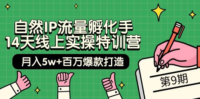 自然IP流量孵化手 14天线上实操特训营【第9期】月入5w+百万爆款打造 (74节)-网创财富岛