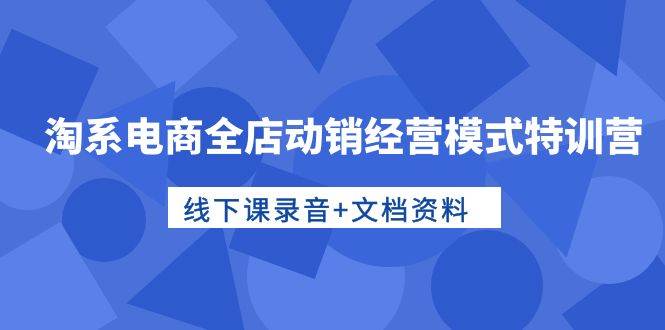 淘系电商全店动销经营模式特训营，线下课录音+文档资料-网创财富岛