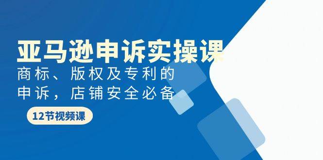 亚马逊-申诉实战课，商标、版权及专利的申诉，店铺安全必备-网创财富岛
