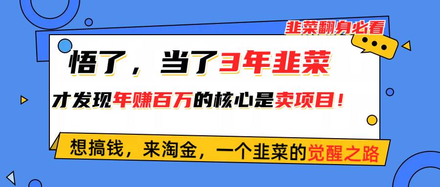 悟了，当了3年韭菜，才发现网赚圈年赚100万的核心是卖项目，含泪分享！-网创财富岛