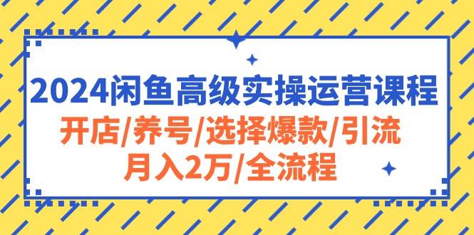 2024闲鱼高级实操运营课程：开店/养号/选择爆款/引流/月入2万/全流程-网创财富岛