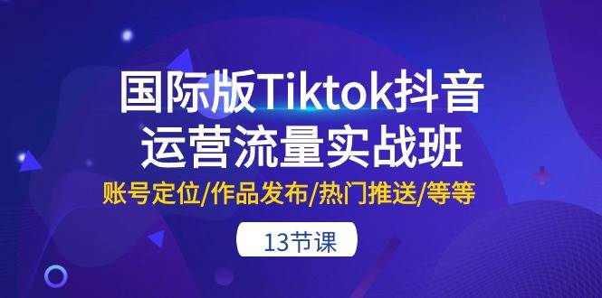 国际版Tiktok抖音运营流量实战班：账号定位/作品发布/热门推送/等等-13节-网创财富岛