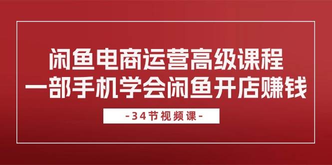 闲鱼电商运营高级课程，一部手机学会闲鱼开店赚钱（34节课）-网创财富岛