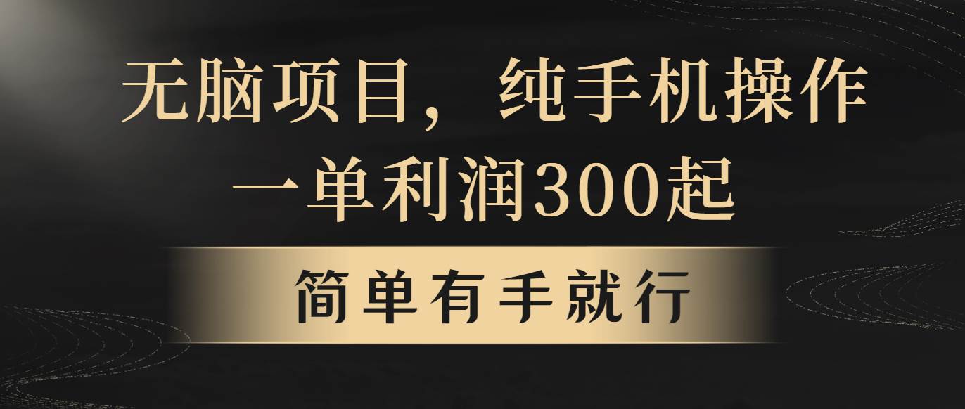 无脑项目，一单几百块，轻松月入5w+，看完就能直接操作-网创财富岛