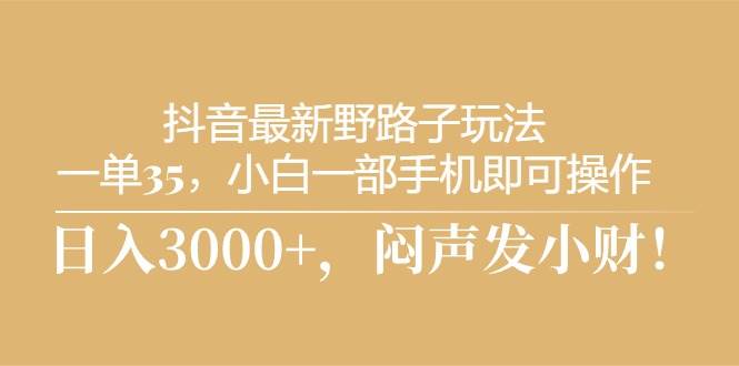 抖音最新野路子玩法，一单35，小白一部手机即可操作，，日入3000+，闷…-网创财富岛
