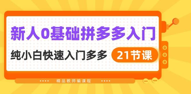 新人0基础拼多多入门，纯小白快速入门多多（21节课）-网创财富岛