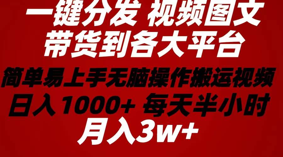 2024年 一键分发带货图文视频  简单易上手 无脑赚收益 每天半小时日入1…-网创财富岛
