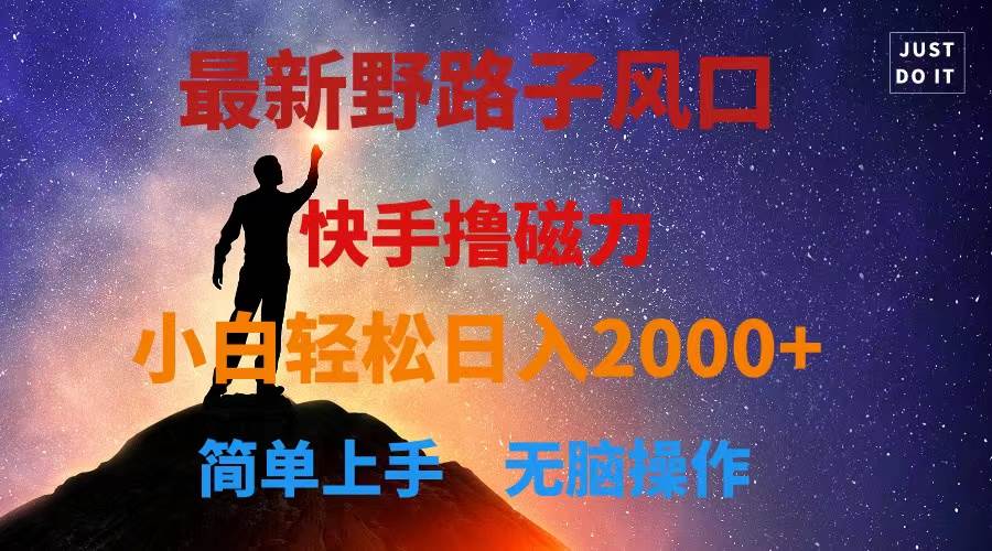 最新风口！快手撸磁力，野路子，小白无脑操作日入2000+-网创财富岛