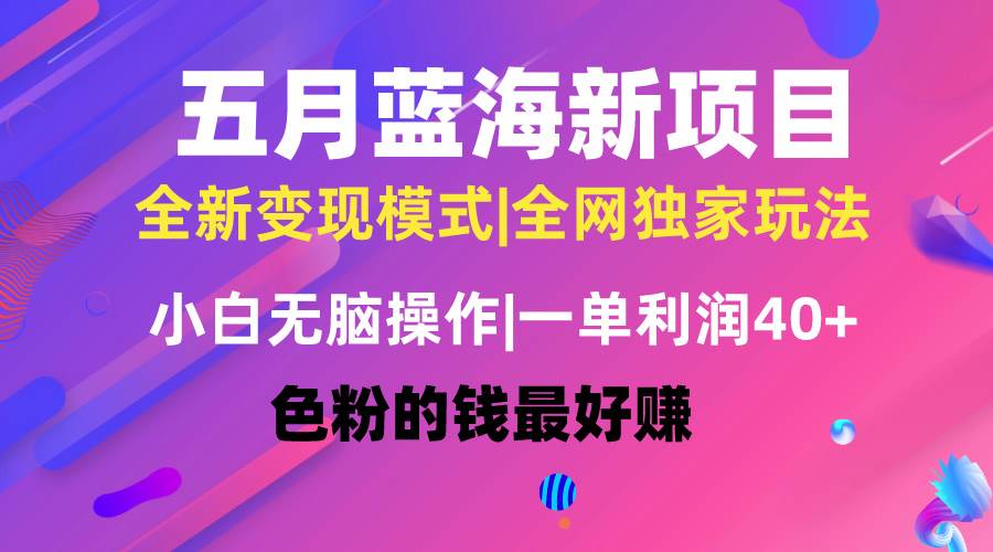五月蓝海项目全新玩法，小白无脑操作，一天几分钟，矩阵操作，月入4万+-网创财富岛
