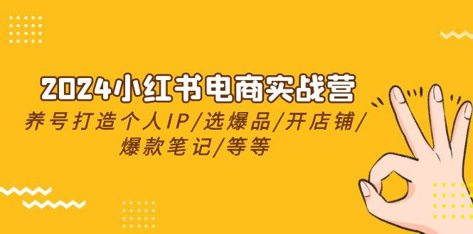 2024小红书电商实战营，养号打造IP/选爆品/开店铺/爆款笔记/等等（24节）-网创财富岛