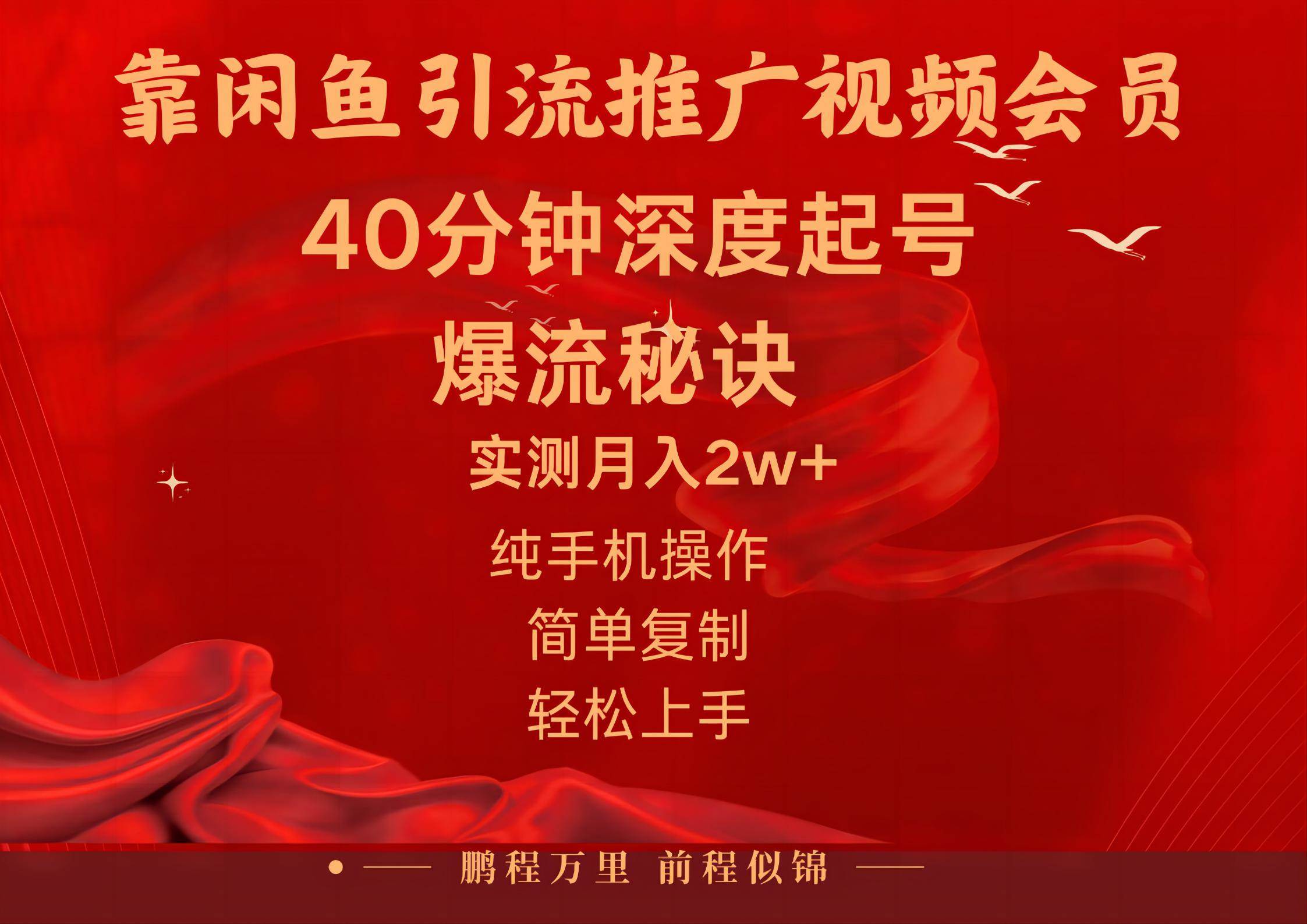 闲鱼暴力引流推广视频会员，能做到日入2W+，操作简单-网创财富岛