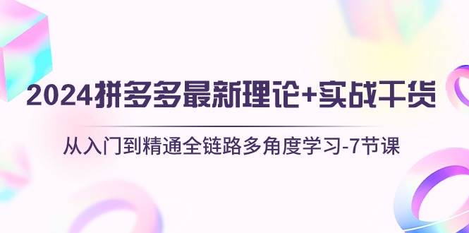 2024拼多多 最新理论+实战干货，从入门到精通全链路多角度学习-7节课-网创财富岛