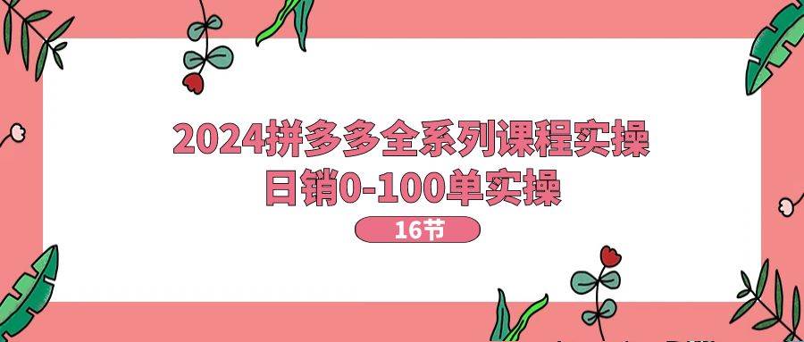 2024拼多多全系列课程实操，日销0-100单实操【16节课】-网创财富岛