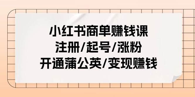 小红书商单赚钱课：注册/起号/涨粉/开通蒲公英/变现赚钱（25节课）-网创财富岛