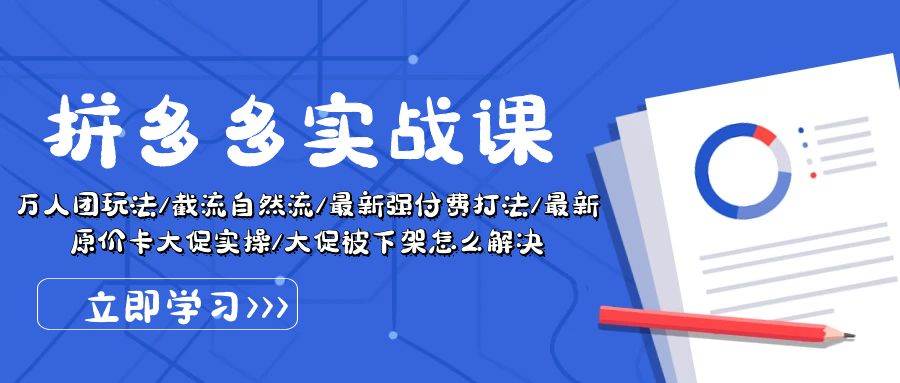 拼多多·实战课：万人团玩法/截流自然流/最新强付费打法/最新原价卡大促..-网创财富岛