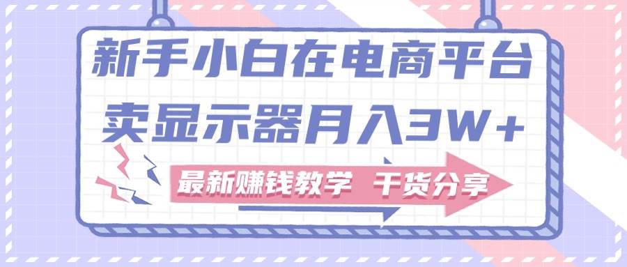 新手小白如何做到在电商平台卖显示器月入3W+，最新赚钱教学干货分享-网创财富岛