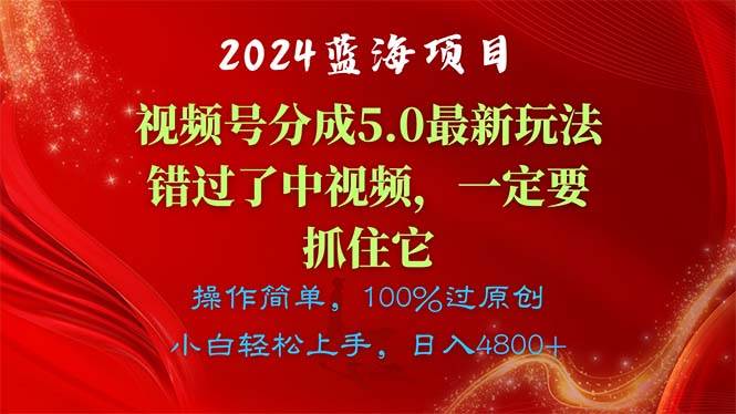 2024蓝海项目，视频号分成计划5.0最新玩法，错过了中视频，一定要抓住…-网创财富岛