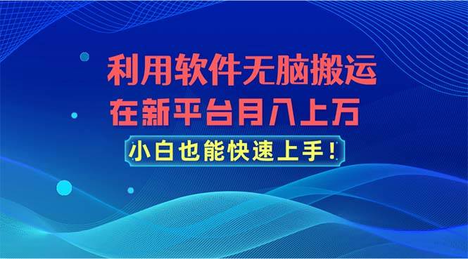 利用软件无脑搬运，在新平台月入上万，小白也能快速上手-网创财富岛