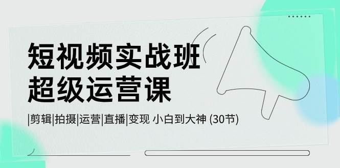 短视频实战班-超级运营课，|剪辑|拍摄|运营|直播|变现 小白到大神 (30节)-网创财富岛