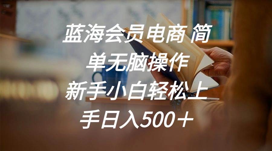 蓝海会员电商 简单无脑操作 新手小白轻松上手日入500＋-网创财富岛