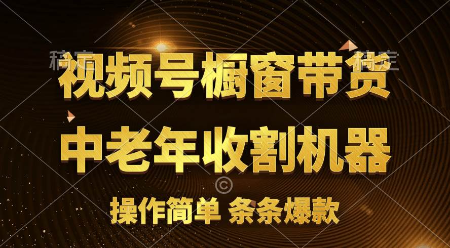[你的孩子成功取得高位]视频号最火爆赛道，橱窗带货，流量分成计划，条…-网创财富岛