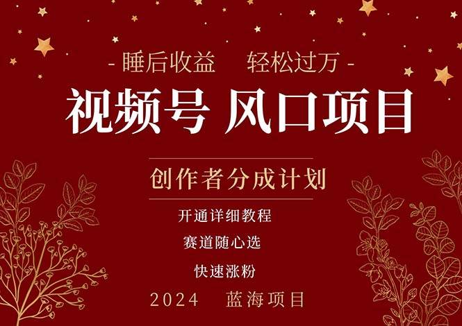拥有睡眠收益的微信视频号大风口项目，轻松月入过万+，多赛道选择，可…-网创财富岛