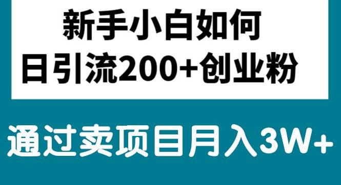 新手小白日引流200+创业粉,通过卖项目月入3W+-网创财富岛