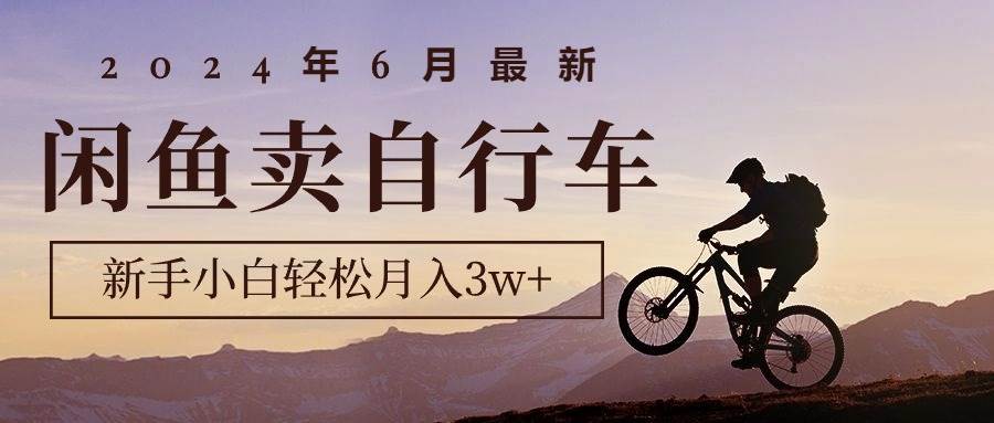 2024年6月最新闲鱼卖自行车，新手小白轻松月入3w+项目-网创财富岛