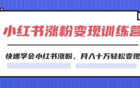 2024小红书涨粉变现训练营，快速学会小红书涨粉，月入十万轻松变现(40节)-网创财富岛