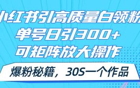 小红书引高质量白领粉，单号日引300+，可放大操作，爆粉秘籍！30s一个作品-网创财富岛