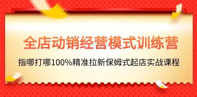 全店动销-经营模式训练营，指哪打哪100%精准拉新保姆式起店实战课程-网创财富岛