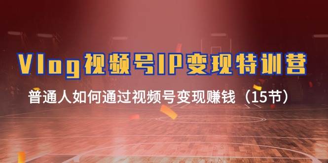 Vlog 视频号IP变现特训营，普通人如何通过视频号变现赚钱（15节）-网创财富岛