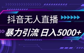抖音无人直播,暴利引流,日入5000+-网创财富岛