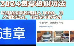 2024违章拍照新玩法，推广躺赚+拍照赚钱双模式，日入1000+-网创财富岛