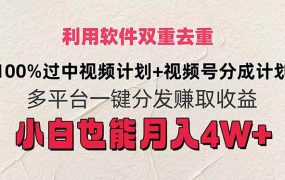 利用软件双重去重,100%过中视频+视频号分成计划小白也可以月入4W+-网创财富岛