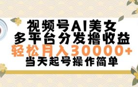 视频号AI美女，轻松月入30000+,操作简单轻松上手-网创财富岛